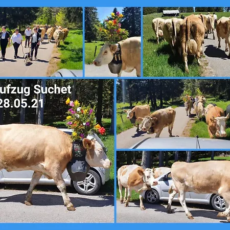 Appartamento Le 13, Charmant De 2 Pièces à Lignerolle