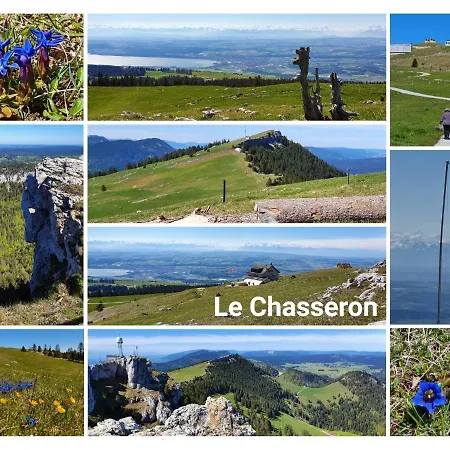 Le 13, Charmant De 2 Pièces à Appartamento