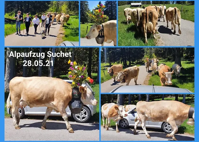 Appartamento Le 13, Charmant De 2 Pièces à Lignerolle