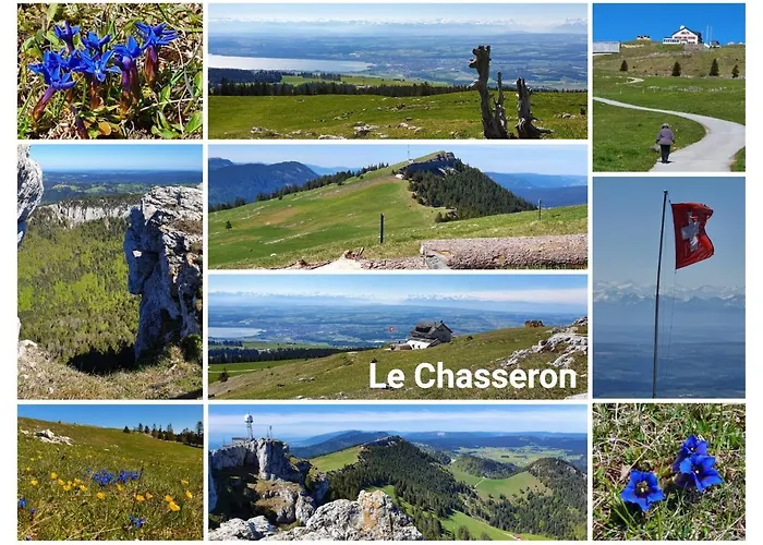 Le 13, Charmant De 2 Pièces à Appartamento